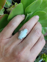14k white gold filigree c.20s opal ring