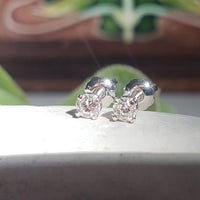 14k white gold cute little diamond studs earrings - screw back - .21ct tw