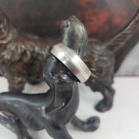 Titanium & Platinum 7mm Band - SIZE 12
