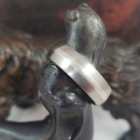 Titanium & Platinum 7mm Band - SIZE 12