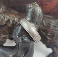 Titanium 6mm beveled edge Band - SIZE 11.5