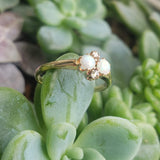 10k gold Victorian opal & rose cut diamond ring