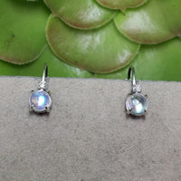 14k white gold Moonstone & diamond lever back earrings