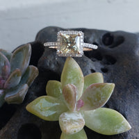 14k rose gold chrysoberyl halo ring