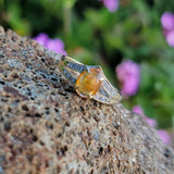 14k yellow gold fire opal estate ring