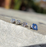 14k white gold diamond bezel studs earrings - .23ct tw