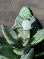14k white gold filigree c.1920's opal ring