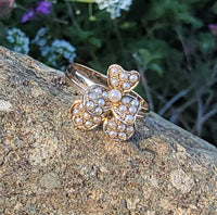 10k gold Victorian flower tulip seed pearl ring