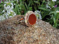 10k yellow & rose gold Art Deco carnelian estate ring