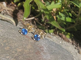 14k gold blue sapphire bezel stud earrings - .20ct tw